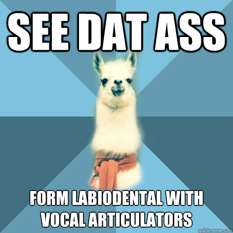 see dat ass form labiodental with vocal articulators  Linguist Llama