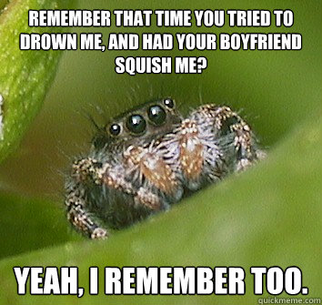 Remember that time you tried to drown me, and had your boyfriend squish me? YEAH, I REMEMBER TOO.  Misunderstood Spider