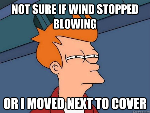 not sure if wind stopped blowing or i moved next to cover  Futurama Fry