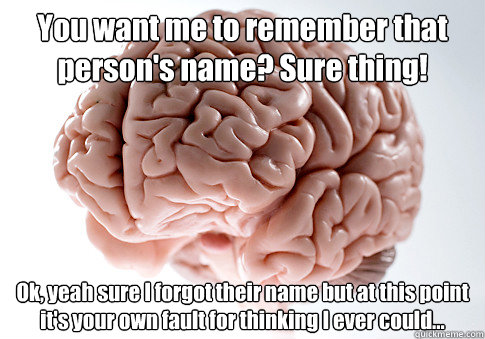 You want me to remember that person's name? Sure thing! Ok, yeah sure I forgot their name but at this point it's your own fault for thinking I ever could...   Scumbag Brain