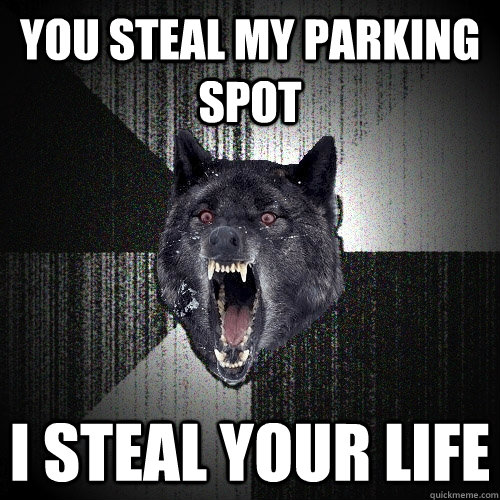 YOU STEAL MY PARKING SPOT I STEAL YOUR LIFE - YOU STEAL MY PARKING SPOT I STEAL YOUR LIFE  Insanity Wolf