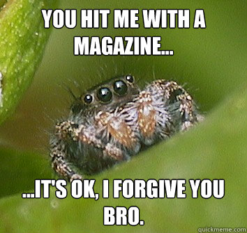 You hit me with a magazine... ...It's Ok, I forgive you bro.  Misunderstood Spider