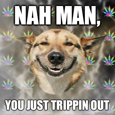 NAH MAN, YOU JUST TRIPPIN OUT  Stoner Dog