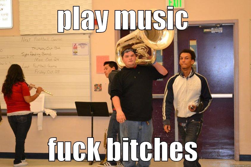 PLAY MUSIC FUCK BITCHES Misc