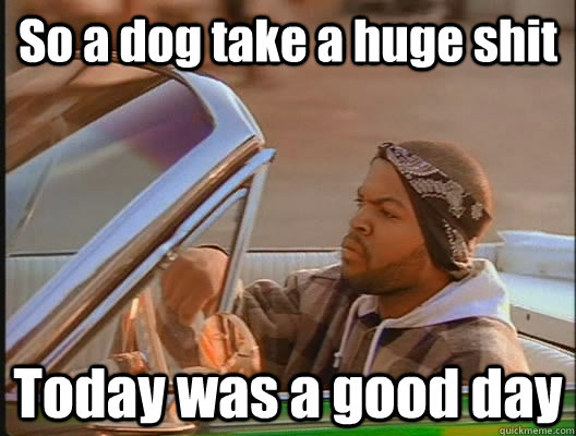 So a dog take a huge shit Today was a good day  today was a good day