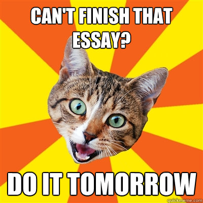 can't finish that essay? do it tomorrow  Bad Advice Cat