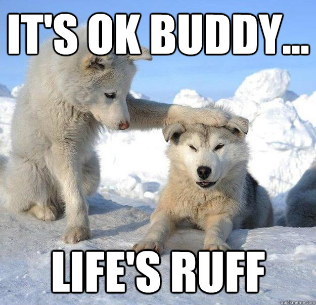 It's ok buddy... life's ruff  