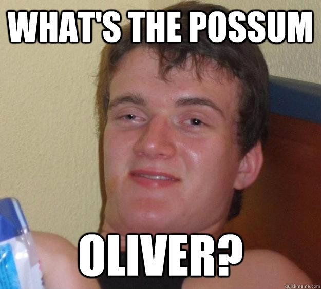 What's the Possum Oliver?  10 Guy