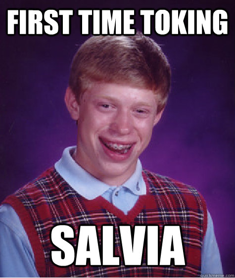 First time toking Salvia   Bad Luck Brian