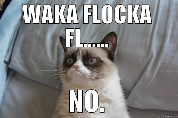 WAKA FLOCKA FL...... NO. Grumpy Cat