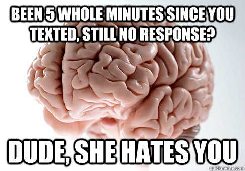 Been 5 whole minutes since you texted, still no response? Dude, she hates you - Been 5 whole minutes since you texted, still no response? Dude, she hates you  Scumbag Brain