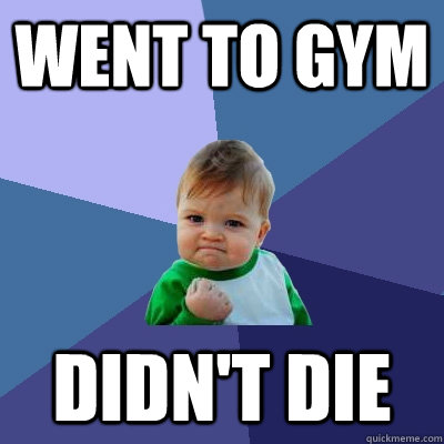 Went to Gym Didn't Die  Success Kid