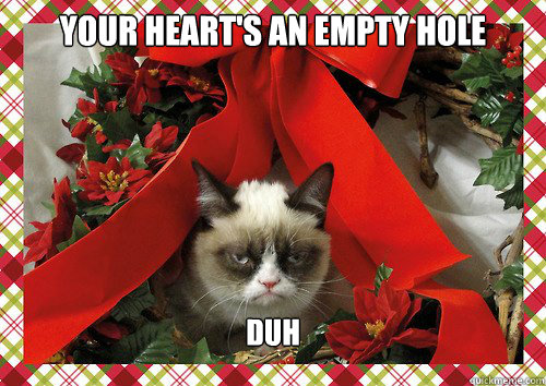 Your heart's an empty hole Duh   A Grumpy Cat Christmas