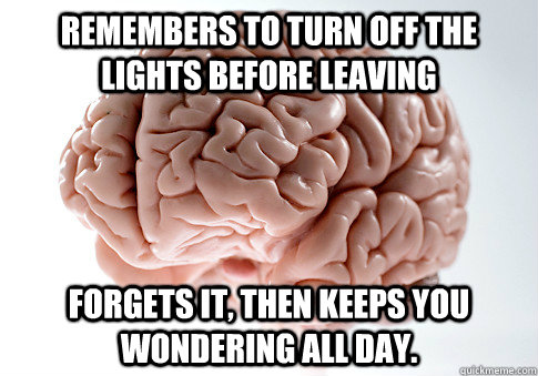 REMEMBERS TO TURN OFF THE LIGHTS BEFORE LEAVING FORGETS IT, THEN KEEPS YOU WONDERING ALL DAY.  Scumbag Brain