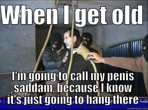 swinging saddam - WHEN I GET OLD  I'M GOING TO CALL MY PENIS SADDAM, BECAUSE I KNOW IT'S JUST GOING TO HANG THERE Misc