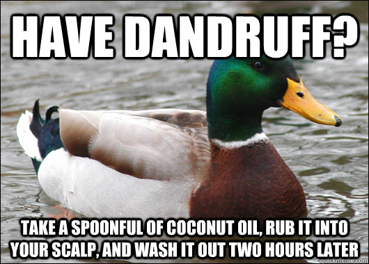 Have dandruff? Take a spoonful of coconut oil, rub it into your scalp, and wash it out two hours later - Have dandruff? Take a spoonful of coconut oil, rub it into your scalp, and wash it out two hours later  Actual Advice Mallard