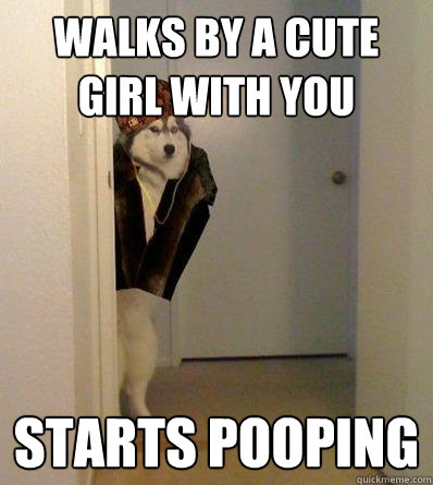 Walks by a cute girl with you  Starts pooping  Scumbag dog