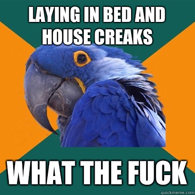 Laying in bed and house creaks WHAT THE FUCK  Paranoid Parrot