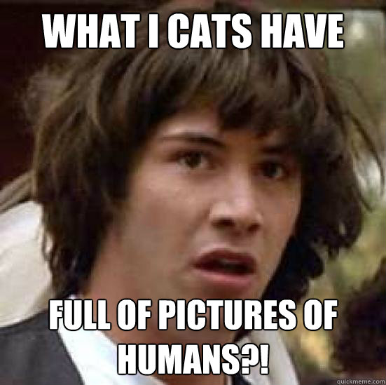 What i cats have their own web full of pictures of humans?!  conspiracy keanu