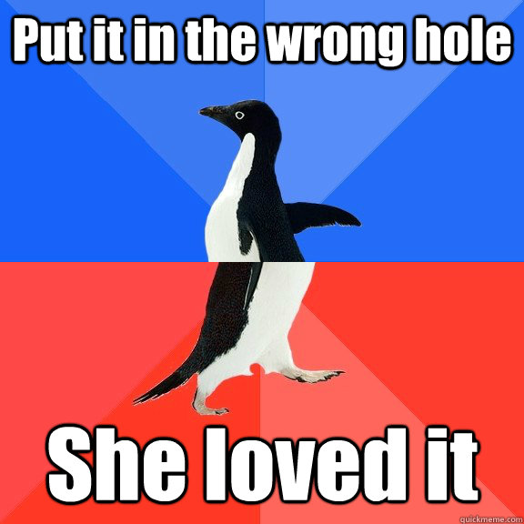 Put it in the wrong hole She loved it - Put it in the wrong hole She loved it  Socially Awkward Awesome Penguin