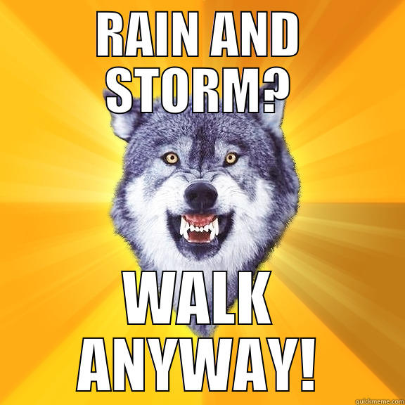 STORMY WEATHER? - RAIN AND STORM? WALK ANYWAY! Courage Wolf