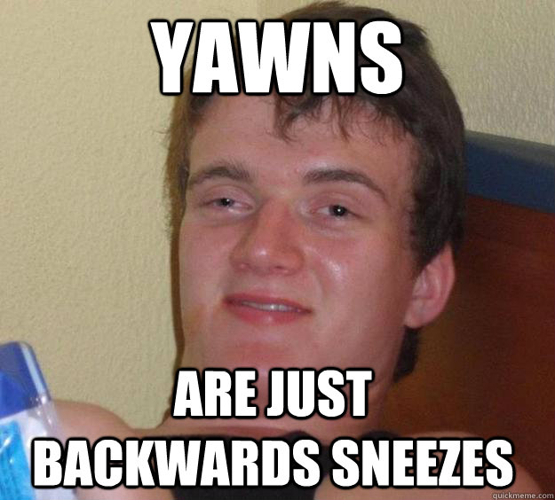 YAWNS Are just backwards sneezes - YAWNS Are just backwards sneezes  10 Guy