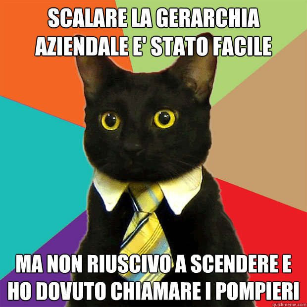 scalare la gerarchia aziendale e' stato facile ma non riuscivo a scendere e ho dovuto chiamare i pompieri  Business Cat