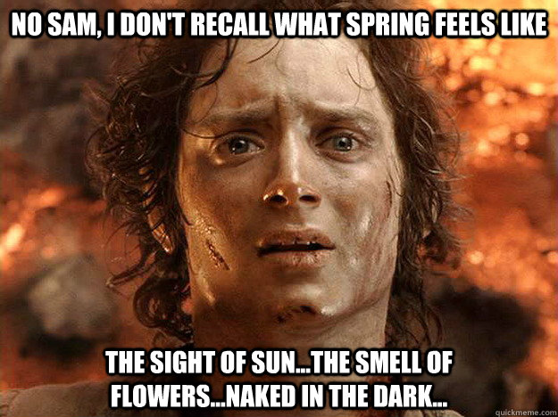 No Sam, i don't recall what spring feels like the sight of sun...the smell of flowers...naked in the dark...  frodo