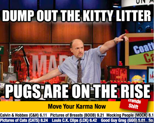 dump out the kitty litter pugs are on the rise  Mad Karma with Jim Cramer