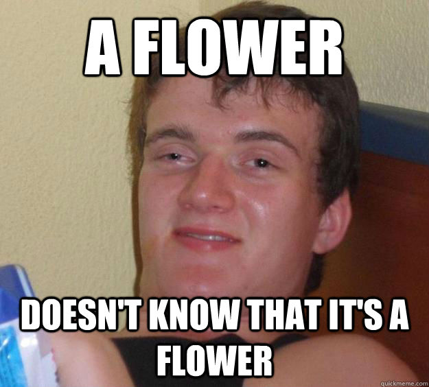 A flower  doesn't know that it's a flower  10 Guy