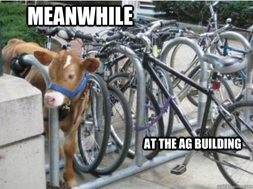 Meanwhile at the ag building - Meanwhile at the ag building  Ag Science