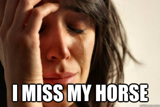 I miss my horse  - I miss my horse   First World Problems