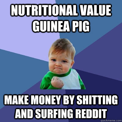 nutritional value guinea pig make money by shitting and surfing reddit  Success Kid