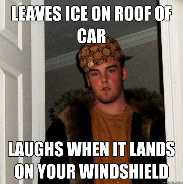 Leaves ice on roof of car Laughs when it lands on your windshield  Scumbag Steve