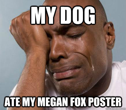 my dog ate my megan fox poster  First World Guy Problems