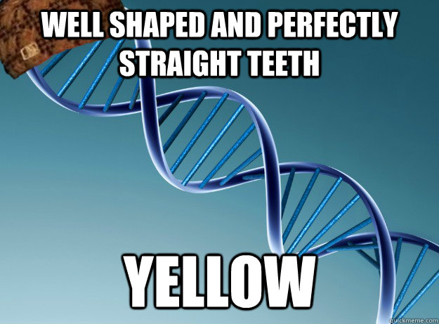 Well Shaped and Perfectly Straight Teeth Yellow  Scumbag Genetics