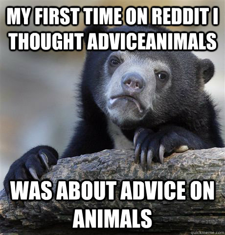 My first time on reddit i thought adviceanimals Was about advice on animals  Confession Bear