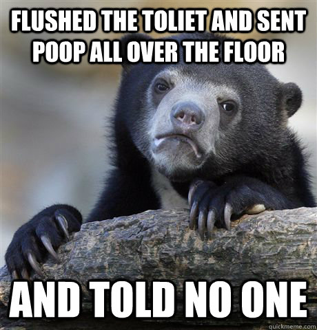 Flushed the toliet and sent poop all over the floor and told no one  Confession Bear