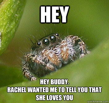 Hey Hey buddy.
rachel wanted me to tell you that she loves you  Misunderstood Spider