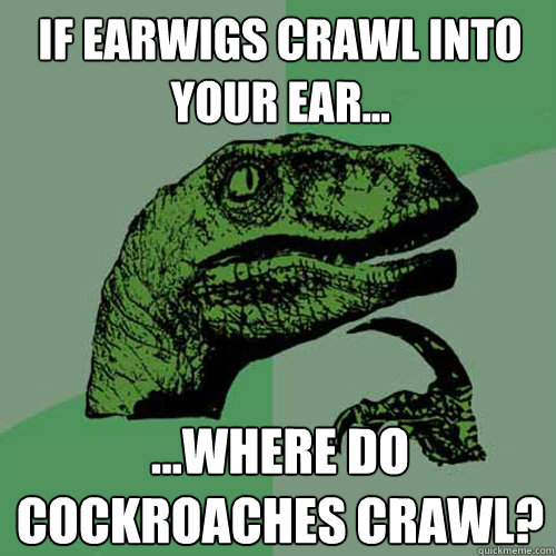 If Earwigs crawl into your ear... ...where do Cockroaches crawl? - If Earwigs crawl into your ear... ...where do Cockroaches crawl?  Philosoraptor