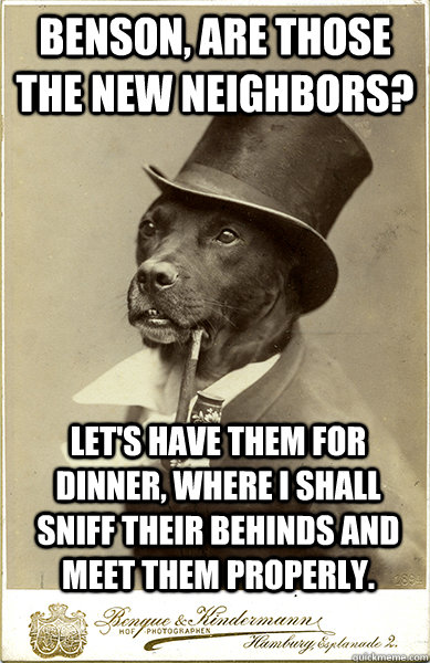 benson, are those the new neighbors? Let's have them for dinner, where I shall sniff their behinds and meet them properly.  Old Money Dog