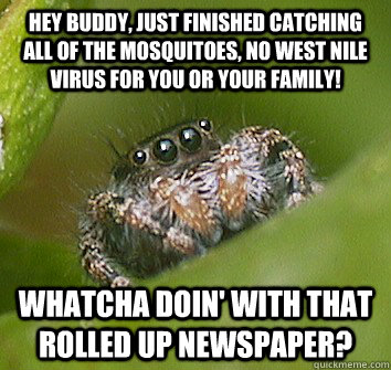 Hey buddy, just finished catching all of the mosquitoes, no West nile virus for you or your family! Whatcha doin' with that rolled up newspaper?  