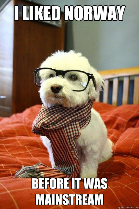 I liked Norway Before it was mainstream  Hipster Dog