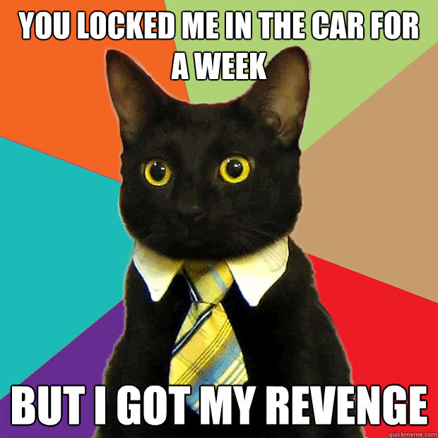 You locked me in the car for a week but i got my revenge  Business Cat