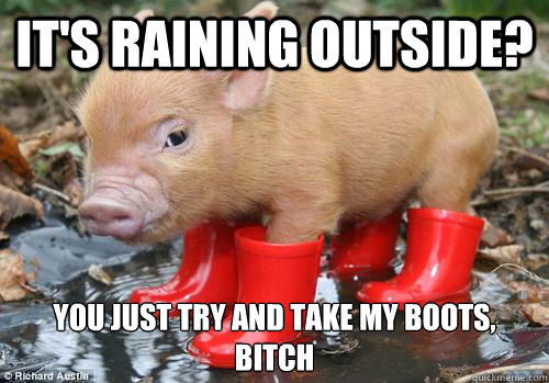 It's raining outside? You just try and take my boots, bitch - It's raining outside? You just try and take my boots, bitch  Wellie Boot Pig