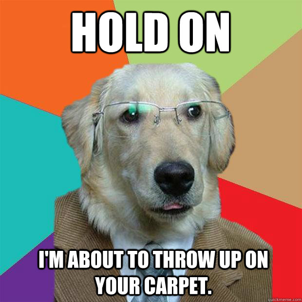 Hold on
 I'm about to throw up on your carpet.  Business Dog