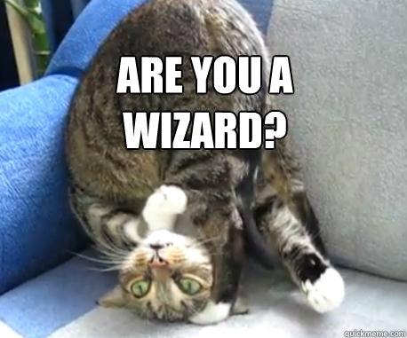 are you a
wizard? - are you a
wizard?  Upside down cat