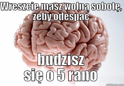 WRESZCIE MASZ WOLNĄ SOBOTĘ, ŻEBY ODESPAĆ BUDZISZ SIĘ O 5 RANO Scumbag Brain