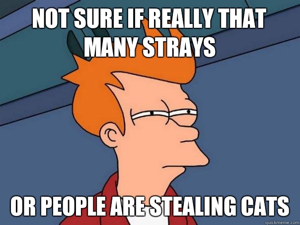 Not sure if really that many strays Or people are stealing cats  Futurama Fry