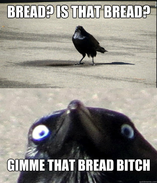 Bread? is that BREAD? GIMME THAT BREAD BITCH  Insanity Crow